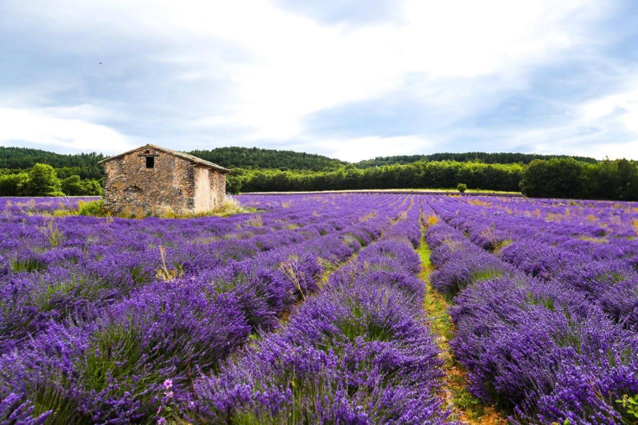 Petit Studio Atypique Et Cosy En Provence Saint-Étienne-les-Orgues Exterior photo